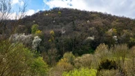 La primavera del Pirineo leridano, sinfonía de brotes, luz y memoria del invierno