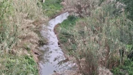 El curso orgulloso del río Gaià
