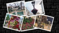 Paseo primaveral por Marbella, en imágenes