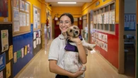 Olivia, una niña diabética, ya va a clase con su perro de alerta
