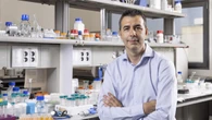 Clip-off: la nueva técnica para crear moléculas complejas inventada por científicos catalanes