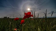 El gran halo solar de la primavera