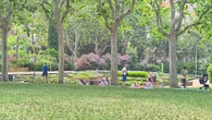 El oasis barcelonés del Turó Park