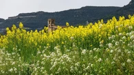 El santuario de la primavera en Balenyà
