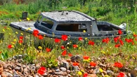 Jardín de barcos y amapolas en Les Useres