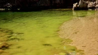 Las algas fosforescentes de Aigua Xelida