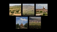 Los extensos pinares de Alloza