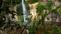 La espléndida cascada de los dos nombres