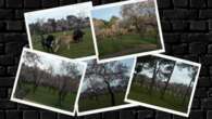 El bosque de almendros en flor de Madrid