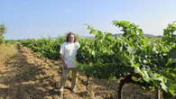 100% ecológicos en un Penedès que quiere revertir la severa caída en ventas