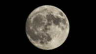 Ya se acerca la luna llena del ciervo