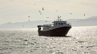 Las barcas vuelven al puerto