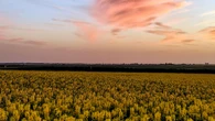Atardecer de contrastes