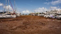 La isla caribeña de Guadalupe, sitiada por las algas, protagoniza las imágenes del día