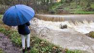 El Fluvià recupera su esplendor en Olot