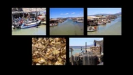 El centro gastronómico de la ostra de Leucate