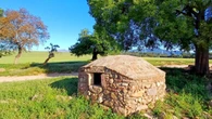 El curioso horno de piñones de Torre Marimon