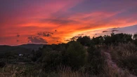 El paisaje rojo del Alt Penedès