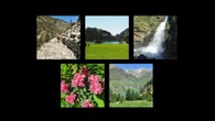 La exuberancia natural de la Vall de Núria