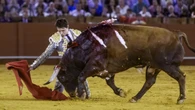 Los deslucidos toros de Núñez del Cuvillo dan al traste con una corrida de enorme expectación