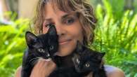 Halle Berry, desnuda y rodeada de gatos en el 20 aniversario de 'Catwoman'