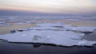 Los glaciares pierden la mayor masa de hielo de los últimos 50 años