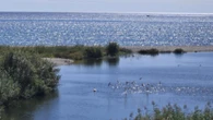 Las dos aguas de la desembocadura en el mar del río Algar en Altea