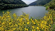 La florida primavera del Montseny