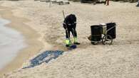 Limpieza de miles de medusas en las playas