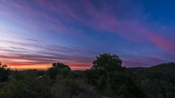 Gran paleta de colores en el Alt Penedès