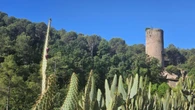 La primavera radiante de las Torres de Fals