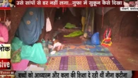 De Rusia a la naturaleza india: hallada una madre y sus dos hijas viviendo en una cueva