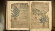 Un nuevo estudio revela que la medicina medieval era tan avanzada que muchos de sus remedios son tendencia hoy en día en Tik Tok