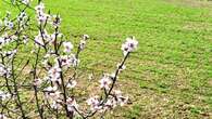 La primavera ya se respira en Calders