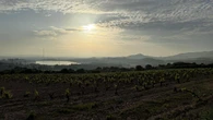 El paisaje del vino en Logroño con el monte La Pila y el pantano de La Grajera