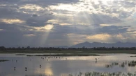 La luz del gran santuario natural del Empordà