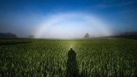El arco de niebla del campo de cebada