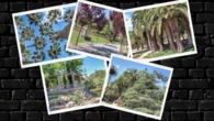 Can Mercader, el oasis verde de Cornellà