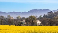 El juego de contrastes de la primavera
