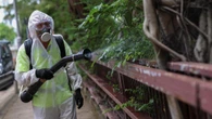 Brote de chikungunya en China: ya van 7.000 afectados y medidas sanitarias estrictas