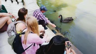El cisne negro Luna y el hombre que susurra a los galápagos en El Retiro