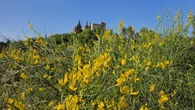 Primavera en el castillo de Rajadell