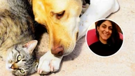 Laura Arena, veterinaria y doctora en bienestar animal: “En España los perros de caza o de guarda quedan excluidos de la ley pese a sufrir maltrato y abandono, y no tienen cobertura; queda camino por recorrer”