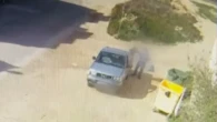 Pillado al tirar cuatro cachorros de perro de dos o tres días con signos de inanición e hipotermia a la basura en Zaragoza