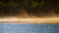 Vuelve el humo ártico al pantano de Sau
