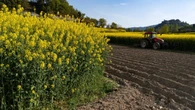 La gran primavera del tractor de Albert