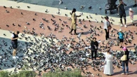 Confluencia de concentraciones urbanas en el corazón de Barcelona