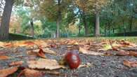 El otoño será cálido en toda España tras sexto verano más caluroso en los últimos 63 años