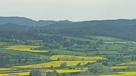 El paisaje salpicado de amarillo