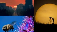 Primavera del Putxet, puesta de sol de Calaf y amanecer en la Diagonal, mejores fotos de abril